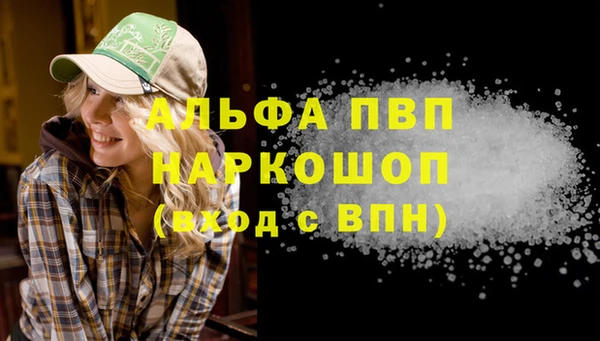 спиды Абаза