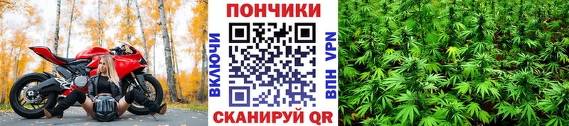 хочу   Адыгейск  Бошки марихуана THC 21% 